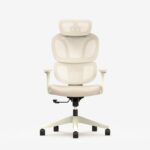 Chaises ergonomiques