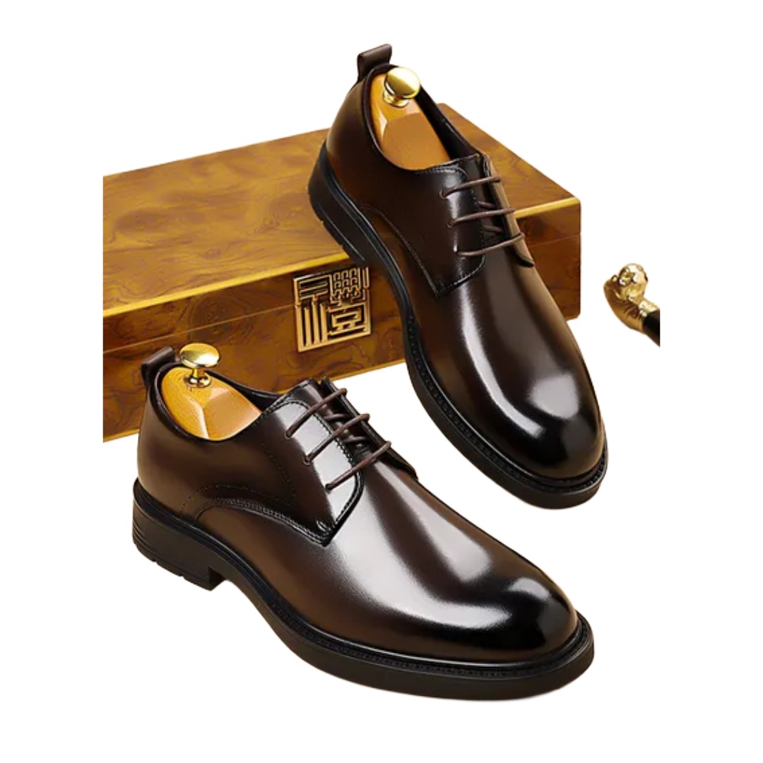 Chaussures d'affaires